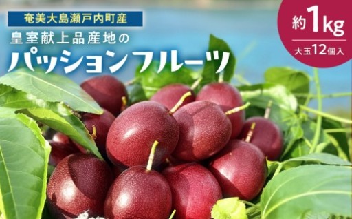 【2026年発送】《皇室献上品産地のパッションフルーツ》奄美大島瀬戸内町産　大玉12個入り