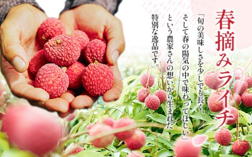 【50セット限定】春先取り 生ライチ ！