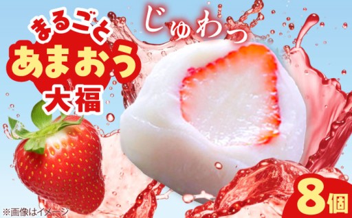 【化粧箱入】福岡が誇る「あまおう」を丸ごと一粒🍓