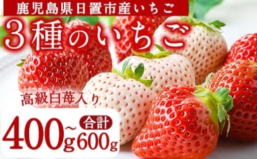 3品種いちごの食べ比べセット(約400g～600g)