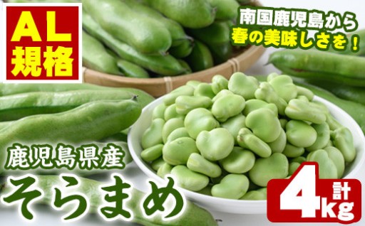 ＜先行予約受付中！2026年4月中旬以降順次発送予定＞春の味覚の鹿児島県産そらまめ(4kg)