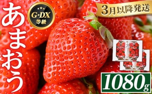 福岡県産 あまおう (計1080g)