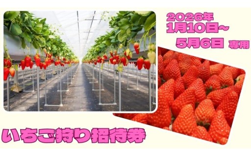 好評開催中！喬木村のいちご狩り招待券🍓