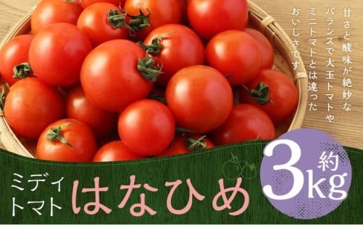 ミディトマト はなひめ 3kg