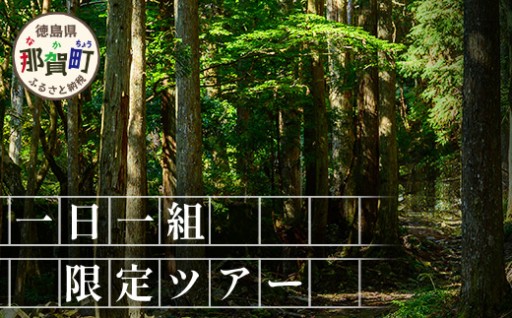 【橋本山林】一日一組限定ツアー（1～9月）1名様