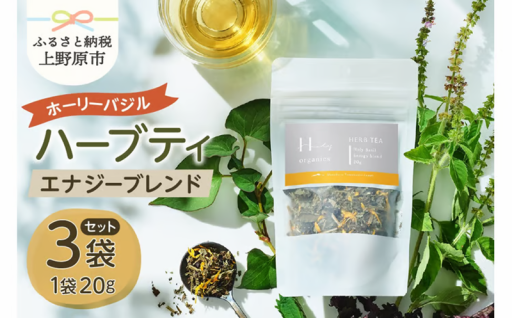 エナジーブレンド（20gｘ3p）