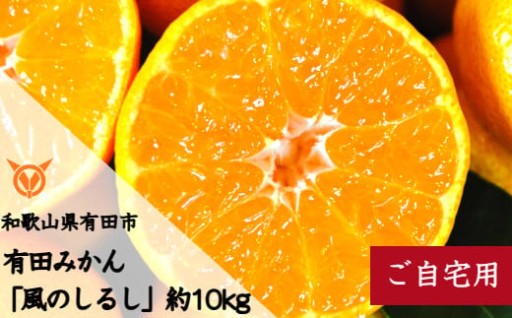 ご自宅用に！訳ありでも味は美味しい！有田みかん！
