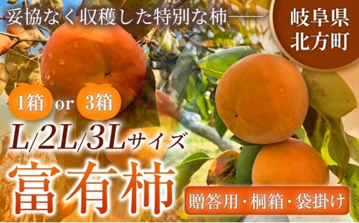 【贈答用】先行予約 令和8年11月中旬順次発送 富有柿 ( 選べる サイズ ・ 容量 )