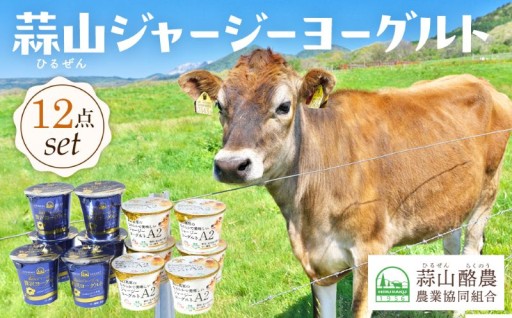 蒜山ジャージーヨーグルト 12点セット（H-972）