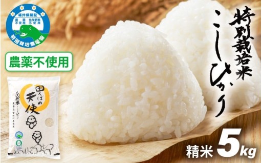 【農薬不使用】安心安全な美味しさ！県認証済み✨