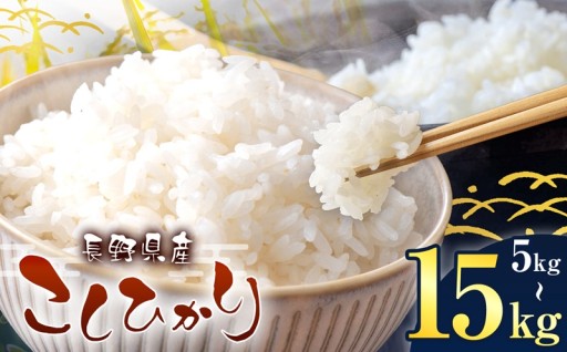 伊那市産 こしひかり 選べる 5キロ 10キロ 15キロ