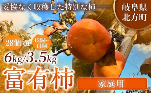 【家庭用】先行予約 令和8年11月中旬順次発送 富有柿 ( 選べる サイズ ・ 容量 )