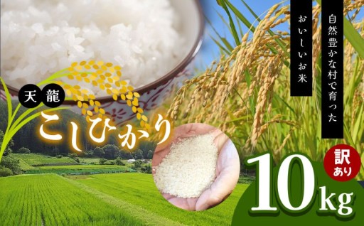 先行予約 訳あり 令和8年産 こしひかり 白米 10kg 天龍村 農家さん応援米！