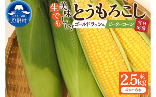 ピーター、ゴールドラッシュ詰め合わせ約2.5㎏
