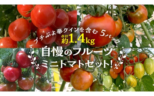 ＼ まるでさくらんぼ？1番人気の『プチぷよ』が必ず入る！フルーツミニトマトセット ／