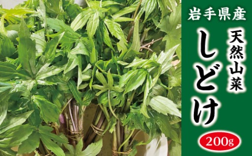 【先行予約】 山菜 しどけ 200g 天然
