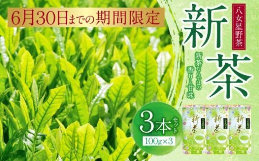【旬の贅沢🍵】新茶 八女星野茶 100g×3本セット