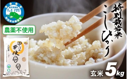 【農薬不使用】安心安全な美味しさ！県認証済み✨