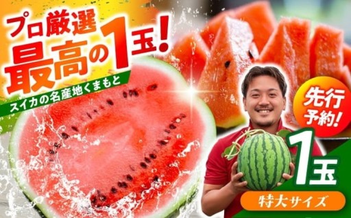 ＼名産地 熊本からお届け／厳選★大玉スイカ！ 特大サイズ（約11kg以上）