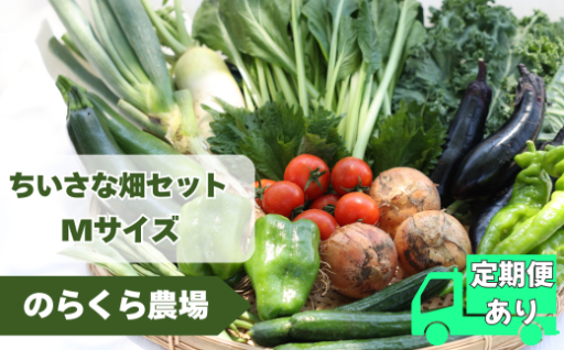 お届けは6月頃から！旬の旨み野菜セットが先行受付中！