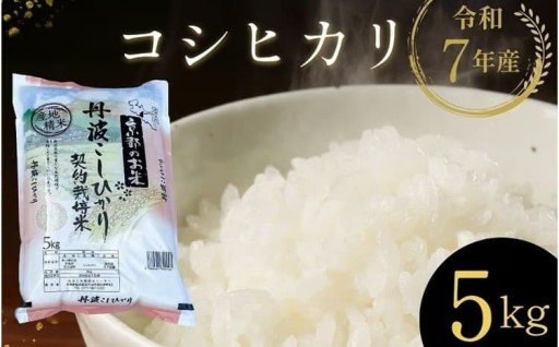 【3/31迄 寄附額改定】京都丹波産『こしひかり』