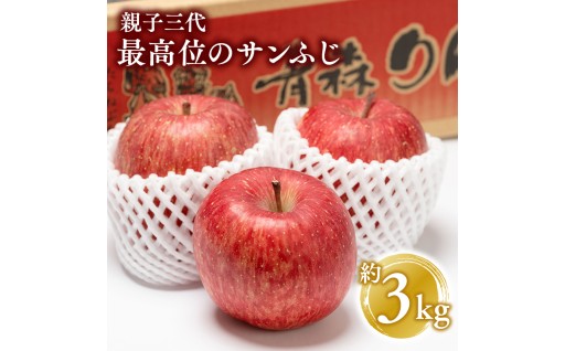 【1月発送】 親子三代最高位のサンふじ 約3kg