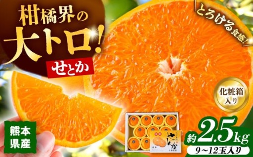 「柑橘の大トロ」とも呼ばれるせとかみかん。皮が薄く果汁たっぷり柑橘の最高峰です。