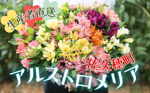 華やかで花もち抜群✨贈り物にもオススメです🌸