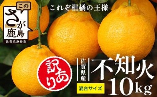 不知火 10kg 訳あり みかん