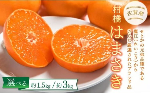 佐賀が誇るブランド柑橘『はまさき』