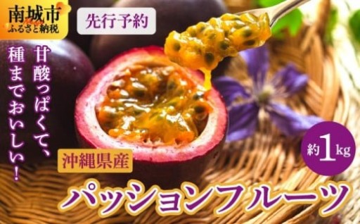 南国フルーツの中でも特に人気の逸品！