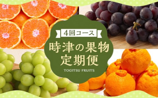 【定期便 4回コース】時津の果物定期便 みかんとぶどうの町から贈る 特産品の定期便