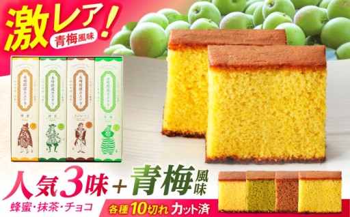 長崎街道カステラ 4本セット