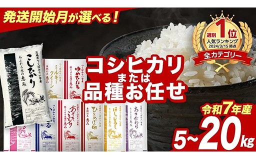 ＼ スピード発送有！ ／量が選べる！品種はおまかせのお米！