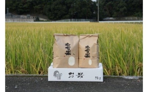 【数量限定】令和7年度産 もち米