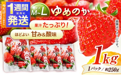 長崎いちご「ゆめのか」M〜Lサイズ 約250g×4パック 合計1kg