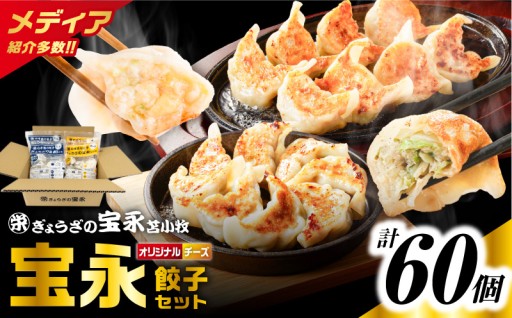 人気の餃子を食べ比べ！ぎょうざの宝永 チーズ餃子セット✨