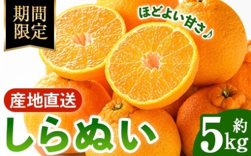 ＜訳あり＞しらぬい(5kg)