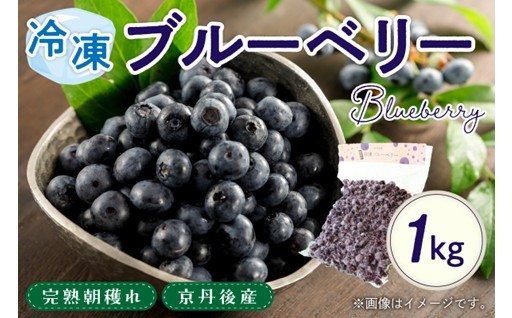 美味しさそのまま！冷凍ブルーベリー🫐