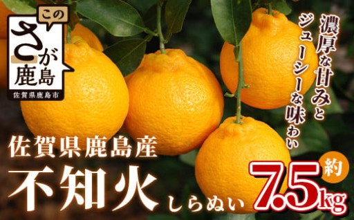 不知火 約7.5kg 鹿島市産 サイズ混合 蜜柑