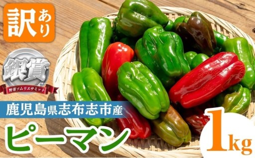 志布志産訳ありピーマン(1kg) 
