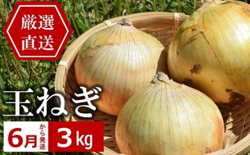 【6月中旬～発送】やたらうんめぇ 玉ねぎ 3kg