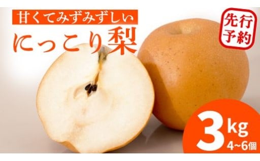 ＜甘くてみずみずしい！＞梨 にっこり 4~6個 (3kg) 