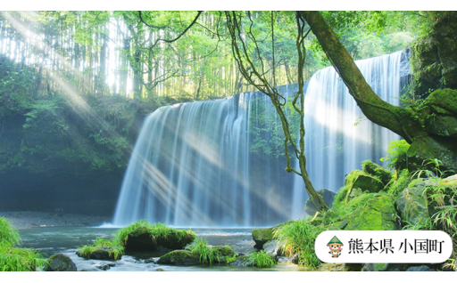 新生活の準備に！3月限定で寄付額を一部見直し