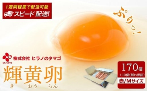 ヒラノのたまご【輝黄卵(きおうらん)】赤Mサイズ　170個+10個（割れ保証）