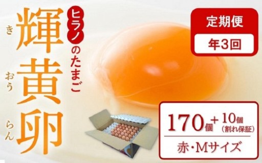【定期便3回】ヒラノのたまご【輝黄卵(きおうらん)】赤Mサイズ　170個+10個（割れ保証）