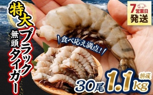 特大 ブラックタイガー 無頭えび 1.1kg前後 （30尾）