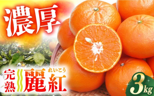 驚愕の甘さ！希少品種「麗紅（れいこう）」約3kg