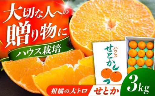 締め切り間近！2026年発送「ハウスせとか」