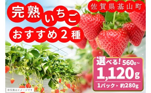 🍓💗KBCテレビで紹介🍓基山町自慢のいちごの嬉しい食べ比べ🍓💗